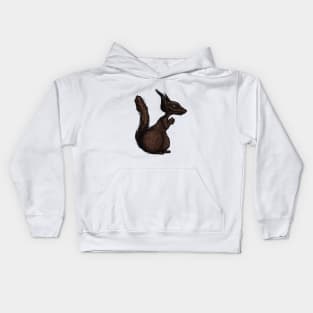 Squirrel Kids Hoodie